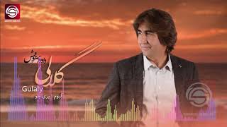 Dawood Sarkhosh Pashto Song Gulaly داود سرخوش آهنگ پشتو گلالی [upl. by Kipper]