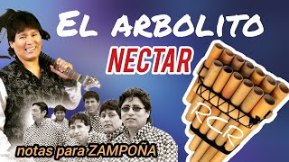 El Arbolito  Néctar ◇ Tutorial para ZAMPOÑA [upl. by Oratnek]