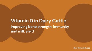 Improving Vitamin D Status in Dairy Cattle [upl. by Naitsirc606]