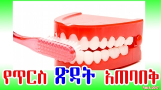 የጥርስ ጽዳት አጠባበቅ  Cleaning dental hygiene  DW [upl. by Griffin]