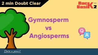 Angiosperms Vs Gymnosperms  Quick 2 min Comparison  Basic Concept  Slate and Pencil [upl. by Nywles]