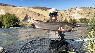 Steelhead on the Deschutes  Short Film 1 [upl. by Capello]