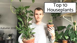 Top 10 Houseplants  Autumn 2018 [upl. by Morty177]