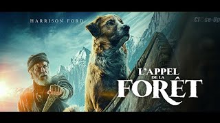 LAppel de la forêt  bandeannonce 2020 [upl. by Hildie792]