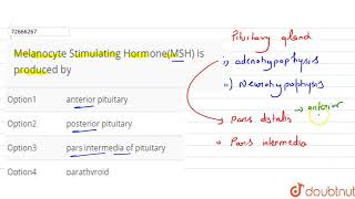 Melanocyte Stimulating HormoneMSH is produced by [upl. by Way]