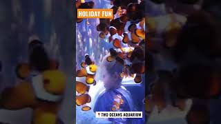 Two Oceans Aquarium Cape Town  Fun Outing for Kids [upl. by Helali]