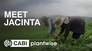 Meet Jacinta a Bolivian farmer [upl. by Abbi]