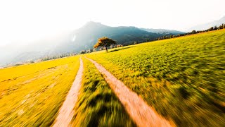 Autumnvibes in Switzerland  Cinematic FPV [upl. by Amo]