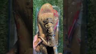 Adidas Football Boot’s Cleaning in ASMR ⚽️🧼 [upl. by Tiga863]