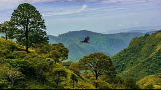 Extinción Documental El Salvador [upl. by Rebna849]