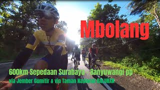 Mbolang Sepedaan 600km SurabayaBanyuwangi pp via Jember Gumitir amp via Baluran [upl. by Anyt483]