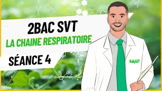 Séance 4  La chaîne Respiratoire 2Bac SVT [upl. by Ttoille811]