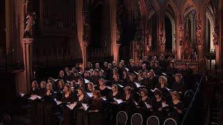 Barber  AGNUS DEI arr Adagio for Strings  Laurens Symfonisch  LIVE [upl. by Ahsek]