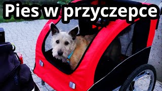 Kupiliśmy przyczepkę rowerową dla naszego psa Przyczepka Trixie rozmiar L  Daily 28 [upl. by Dlanar]