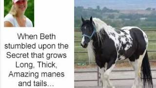 Pat Parelli  Secret How to Grow a Horses Mane amp Tail Super FAST [upl. by Harrat686]