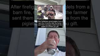 After Firefighters Saved Piglets From A Barn Fire 6 Months Later They Were Sent Sausages grandpa [upl. by Wester]