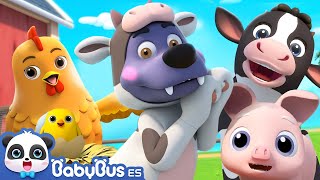 Canción de Granja  Canciones Infantiles  Videos para Niños  BabyBus en Español [upl. by Godden]