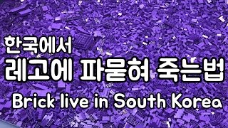 레고에 파묻혀 죽는법  Brick live in South Korea [upl. by Feinberg732]