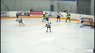 PJHL  Dorchester Dolphins vs Hespeler Shamrocks [upl. by Iraam574]