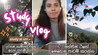 Study vlog📚Al time table ලැබුනාම පාඩම් කරන්න දවස් බෙදාගන්නේ කොහොමද🌈️study at university📚🎓viral [upl. by Bravar]