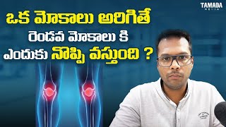 Knee pain amp Arthritis  Causes of Other side Knee pain in contralateral knee arthritis  Telugu [upl. by Jewell]