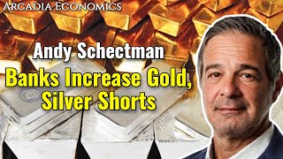 Andy Schectman Banks Increase Gold Silver Shorts Over Recent Rally [upl. by Frick630]