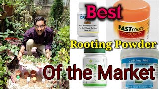 Which one is the Best Rooting Hormone Powder available in the Market Rooting Powder you can buy [upl. by Pierson320]