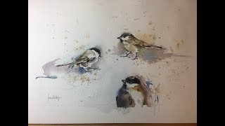 Birds painted in watercolors  Vögel aquarellieren [upl. by Enetsuj]