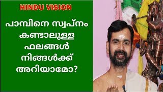 നാഗം കൊത്തുന്നതായി സ്വപ്നം കണ്ടാലുള്ള ഫലം അറിയാമോ  snake in your dream [upl. by Palm173]