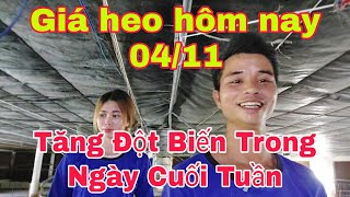 Giá Heo Hơi Ngày Hôm Nay 0411 Đột Biến Tăng Trong Hai Ngày Cuối Tuầnnongtraihoakieu [upl. by Irmina953]