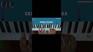 Comment jouer Seben Marimba piano adoration deborah pianocover je cover pianotutorial asmr [upl. by Kwapong]