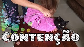 Minhas dicas para conter um gato [upl. by Orlosky]