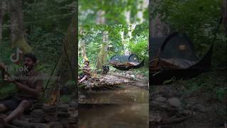 SOLO Camping with Dog Catch and Cook Fishing Bushcraft Skills nature solo dog camping fish [upl. by Nesto]