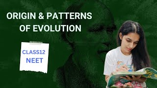 Origin and patterns of evolution  class 12 NEET [upl. by Ilyk]