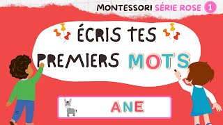 Écrire ses premiers mots avec les lettres mobiles Montessori  Série Rose 1 [upl. by Vatsug]