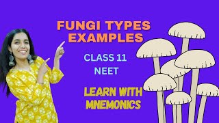 BIOLOGICAL CLASSIFICATION FUNGI MNEMONICS CLASS 11 NEET [upl. by Brittan304]