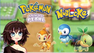 Shining Pearl Nuzlocke shorts [upl. by Sharai]