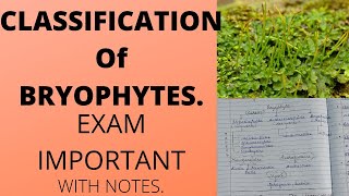 CLASSIFICATION OF BRYOPHYTESbsc botany [upl. by Einahpts]