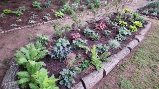 Finally completed this massive perennial bed in my GA zone 8a garden Third times the charm [upl. by Steward]