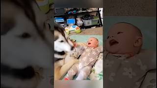 Funny story baby and pets youtubeshorts comedy funny baby love [upl. by Derwon]