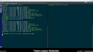 Redirection in Shell Scripts [upl. by Llezo]