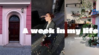 weekly vlog 5 haul kosmetyczny koncert Vitobambino self confidence i jesienne chorowanie [upl. by Jorge833]