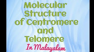 Molecular Structure of Telomere and Centromere  For Lifescience Students in Malayalam  Notes also [upl. by Akehsar328]