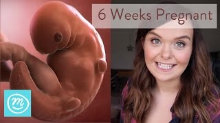 6 Weeks Pregnant What You Need To Know  Channel Mum [upl. by Nayab]