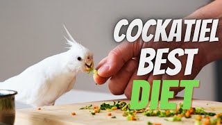 Best Cockatiel Bird Food  Cockatiel Diet [upl. by Orola]