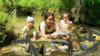 Encounter huge schools of fish  catch fish and fish traps on rainy and windy days [upl. by Nadab]