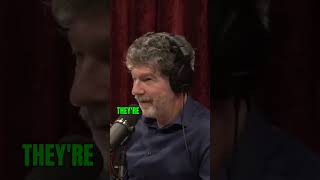 Joe Rogan amp Bret Weinstein on Trumps Potential New Presidency and the Fearmongering Surrounding It [upl. by Swec157]