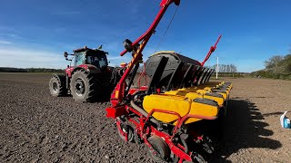 Vaderstad tempo f8 caseih puma 225 cvt [upl. by Hike]