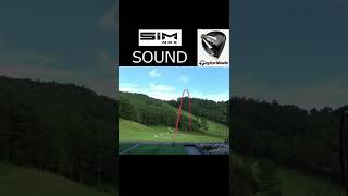 SIM MAX Driver SOUND short version [upl. by Scholz]