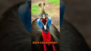 2024 cassowary and 5000bce cassowary animals trending [upl. by Averyl911]